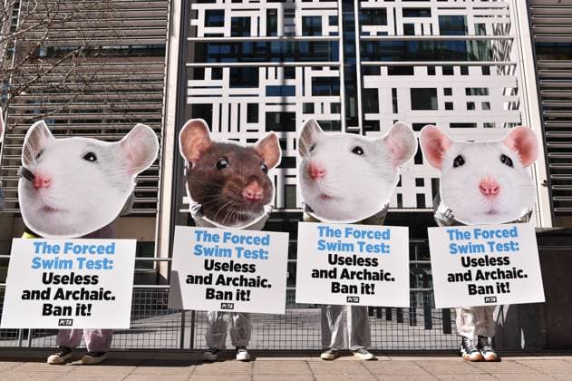 News Themen der Woche KW13 News Bilder des Tages March 27, 2023, London, England, United Kingdom: Members of PETA, dressed in white dust suits and mice and rat masks, rallied together to oppose the Home Office over licensing forced swim tests . Tests which rodents are put in water cylinders, forced to swim or drown, and studied after death. London United Kingdom - ZUMAk172 20230327_zip_k172_002 Copyright: xThomasxKrychx