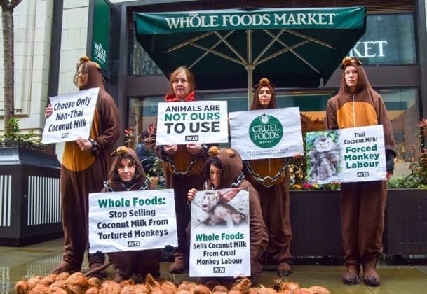 News Themen der Woche KW13 Großbritannien, PETA Protest in London March 28, 2023, London, England, United Kingdom: PETA activists dressed as chained monkeys dumped coconuts outside Whole Foods Market near Piccadilly Circus in protest against the supermarket chain selling coconut milk from Thailand. According to PETA, their investigations have revealed systemic use of monkeys abducted from the wild and forced to pick coconuts for commercial use. London United Kingdom - ZUMAv130 20230328_zip_v130_009 Copyright: xVukxValcicx