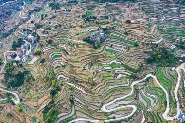 TIANTAI, CHINA - MARCH 28: Aerial view of spring scenery of terraced fields at Nanping town on March 28, 2023 in Tiantai County, Taizhou City, Zhejiang Province of China.  Copyright: xVCGx 111429278209