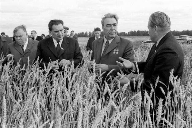 Altai Krai, USSR. September, 1972. Chairman of the Executive Committee of the Regional Council of People s Deputies Ivan Molchanov, First Secretary of the Altai Regional Committee of the Communist Party of the Soviet Union Alexander Georgiyev, General Secretary of the CPSU Central Committee Leonid Brezhnev and Director of Altai Research Institute of Agriculture Alexander Chestnut (L-R) visit an experimental farm of the Institute. The exact date and location of the photograph is unknown. Yevgeny Logvinov, Vladimir Musaelyan TASS  569701