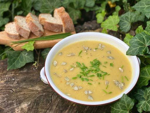 RECORD DATE NOT STATED A tasty mushroom cream soup served with slices of bread *** einer schmackhaft Champignon Creme Suppe angerichtet mit slices des Brot 15191394