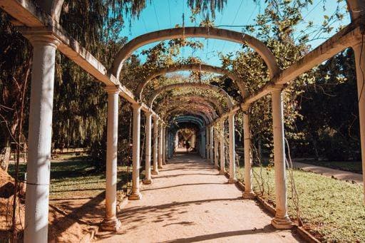 RECORD DATE NOT STATED The tunnel of plants and flowers under a blue sky in the Botanical Garden of Rio de Janeiro *** der Tunnelbaustellen des Pflanzen und Blumen unterhalb einer Blau Himmel ÊIn der botanischen Garten des ri­o de’ Janeiro 155509