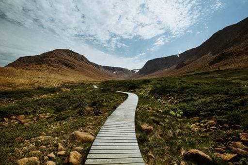 RECORD DATE NOT STATED A boardwalk on Tablelands Trail, Gros Morne National Park, Newfoundland and Labrador, Canada *** einer Bretterbude am Tablelands Trail, Gros Morne Nationaler Park, Neufundland und Labrador, Kanada 15568392