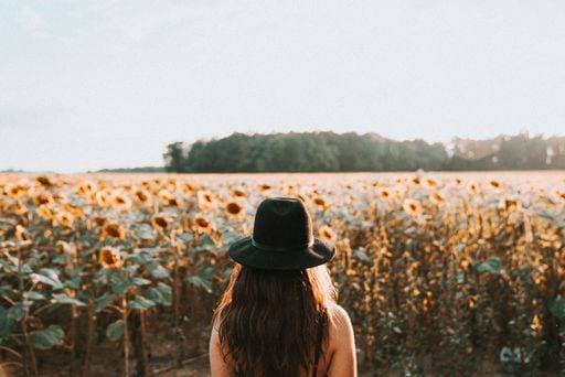 IMAGO Creative, Jahreszeit Herbst auf dem Land RECORD DATE NOT STATED A young female standing in front of a large beautiful sunflower field *** einer Jung weiblich stehend ÊIn vorne des einer großformatig Schönes Sonnenblume Feld 17370