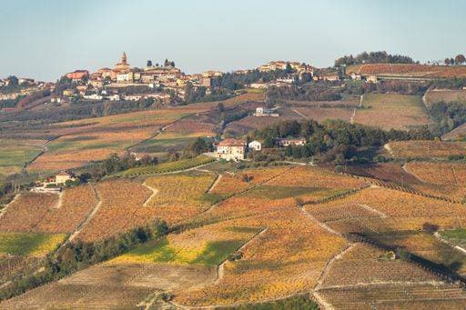 RECORD DATE NOT STATED The vineyards of Langhe region, Piedmont, Italy *** der Weinberge des Langhe region, Piedmont, Italien 1741944