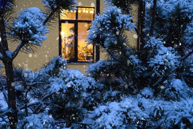 Cozy festive window of the house outside with the warm light of fairy lights garlands inside - celebrate Christmas and New Year in a warm home. Christmas tree, bokeh, snow on pine trees and snowfall Cozy festive window of the house outside with the warm light of fairy lights garlands inside - celebrate Christmas and New Year in a warm home. Christmas tree, bokeh, snow on pine trees and snowfall Copyright: xZoonar.com OlgaxSimonovax 19617499