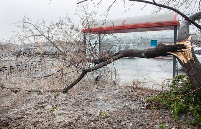 April 6, 2023, Montreal, PQ, Canada: A fallen tree branch is shown next to a bus shelter following an ice storm in Montreal, Thursday, April 6, 2023. Montreal Canada  - ZUMAc35_ 20230406_zaf_c35_006 Copyright: xGrahamxHughesx