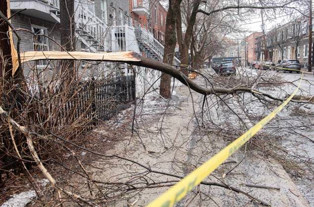 April 6, 2023, Montreal, PQ, Canada: A fallen tree branch blocks a street following an ice storm in Montreal, Thursday, April 6, 2023. Montreal Canada  - ZUMAc35_ 20230406_zaf_c35_002 Copyright: xGrahamxHughesx