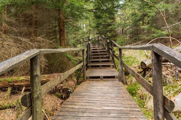 RECORD DATE NOT STATED Forest in Stolowe Mountains National Park in Kudowa-Zdroj, Poland. A popular destination for trips in Poland. , 31843200.jpg, footpath, maze, silesia, stolowe, klodzko, bledne skaly, landmark, natural, labyrinth, hiking, geology, trail, erosion, polish, national, scenics, wild, errant rocks, formation, hiking trail, travel, outdoor, nature, park, national park, stolowe mountains, tourism, table mountains, poland, landscape, rock, scenic, scenery, tree, mountain, beautiful, forest, sudety, view, stone, europe, summer, mountains, attraction, szczeliniec wielki, sandstone, szczeliniec, environment, sudetes, rock formation