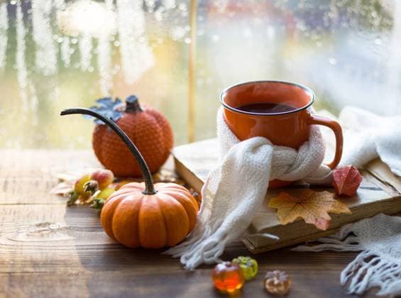 IMAGO Creative: Herbst, Gemütliches Zuhause An orange mug in a scarf with hot tea, pumpkins, yellow dry maple leaves, a book on the windowsill, raindrops on the window - autumn mood An orange mug in a scarf with hot tea, pumpkins, yellow dry maple leaves, a book on the windowsill, raindrops on the window - autumn mood Copyright: xZoonar.com OLGAxSIMONOVAx 19742035