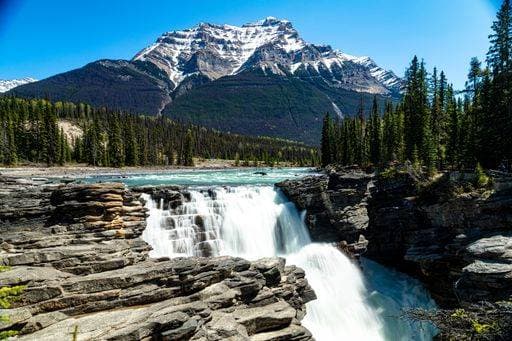 RECORD DATE NOT STATED The majestic Athabasca Falls with a huge snow cap mountain and lush larch trees in the background *** der majestaetisch Athabasca fällt mit einer riesig Schnee Mütze Berg und ueppige Lärche Bäume ÊIn der Hintergrund 10447061