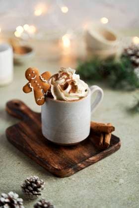 Hot Chocolate with Whipped Cream Gingerbread and Cinnamon Hot Chocolate with Whipped Cream Gingerbread and Cinnamon Copyright: xEmiliexDorangex ED230123-33