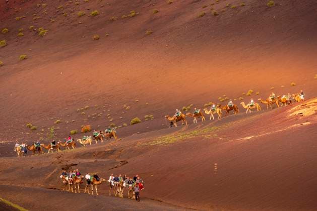 View of tourists riding camels, Timanfaya National Park, Lanzarote, Las Palmas, Canary Islands, Spain, Atlantic, Europe Copyright: FrankxFell 844-28718 Editorial Use Only