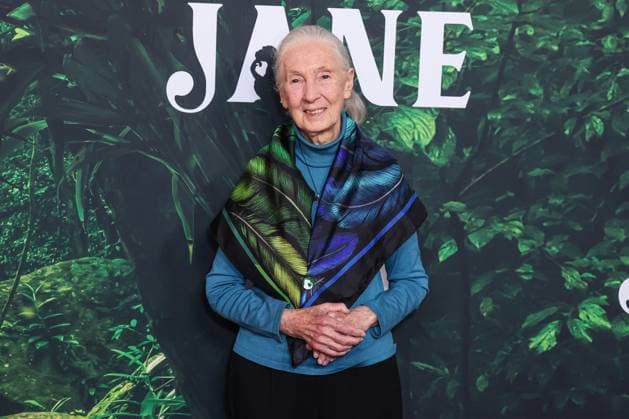 Entertainment Themen der Woche KW15 Entertainment Bilder des Tages Los Angeles Premiere Of Apple TV+ Original Series Jane Season 1 English primatologist and anthropologist Dr. Jane Goodall (Dame Jane Morris Goodall DBE, formerly Baroness Jane van Lawick-Goodall) arrives at the Los Angeles Premiere Of Apple TV+ Original Series Jane Season 1 held at the California Science Center at Exposition Park on April 14, 2023 in Los Angeles, California, United States. California Science Center at Exposition Park, Los Angeles, California California United States  Copyright: xImagexPressxAgencyx originalFilename: collin-losangel230414_np9lC.jpg