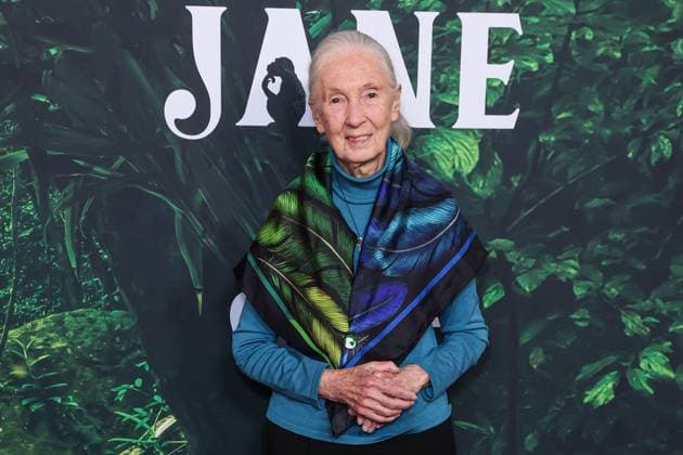 Los Angeles Premiere Of Apple TV+ Original Series Jane Season 1 English primatologist and anthropologist Dr. Jane Goodall (Dame Jane Morris Goodall DBE, formerly Baroness Jane van Lawick-Goodall) arrives at the Los Angeles Premiere Of Apple TV+ Original Series Jane Season 1 held at the California Science Center at Exposition Park on April 14, 2023 in Los Angeles, California, United States. California Science Center at Exposition Park, Los Angeles, California California United States  Copyright: xImagexPressxAgencyx originalFilename: collin-losangel230414_npkBE.jpg