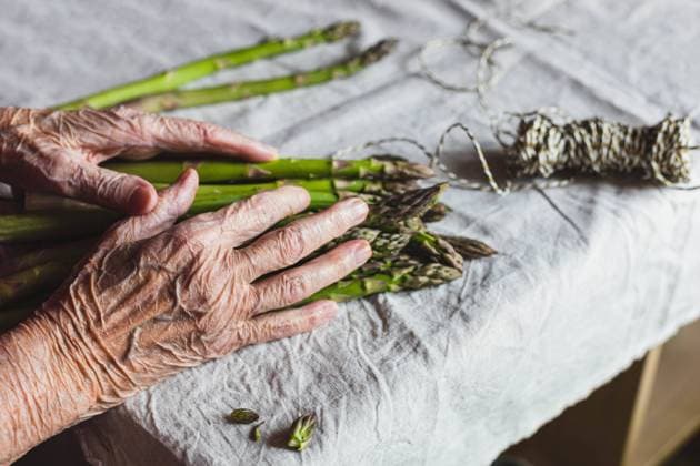 IMAGO Creative: Food, Spargel wrinkled hands of an old woman tying green asparagus Öhringen, Baden-Württemberg, Germany CR_DVHK230411-1169229-01
