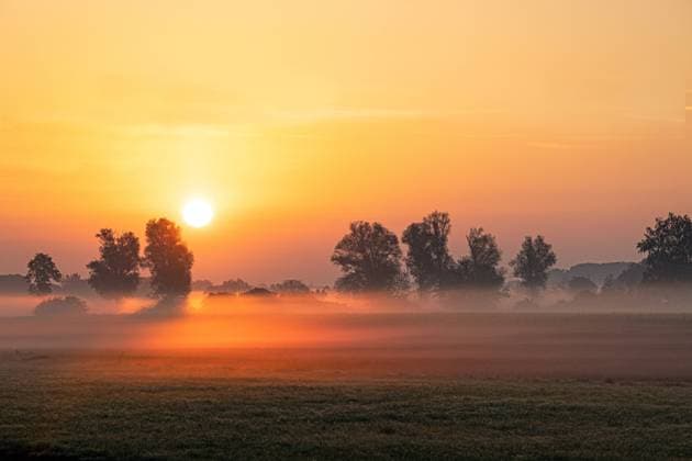Bodennebel bei Sonnenaufgang im Moor, Deutschland, Bayern, Erdinger Moos ground fog at sunrise in the moor, Germany, Bavaria, Erdinger Moos BLWS678943 *** Ground fog at Sunrise at Moor, Germany, Bavaria, Erdinger Moss Ground Fog AT Sunrise in The moor, Germany, Bavaria, Erdinger Moss BLWS678943 Copyright: xblickwinkel A.xHartlx