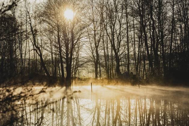 Morgenstimmung, aufgenommen in Nieder Seifersdorf, 12.04.2023. Nieder Seifersdorf Deutschland *** Morning mood, taken in Nieder Seifersdorf, 12 04 2023 Nieder Seifersdorf Germany Copyright: xFlorianxGaertner photothek.dex