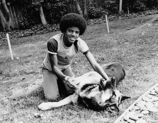 RECORD DATE NOT STATED Michael Jackson. Michael Jackson, 70s. Copyright: 972_ML_05_W696112