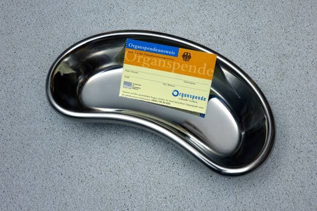 Nierenschale mit Organspendeausweis Nierenschale mit Organspendeausweis, 20.04.2023, Borkwalde, Brandenburg, In einer Nierenschale liegt ein Organspendeausweis. *** Kidney dish with organ donor card Kidney dish with organ donor card, 20 04 2023, Borkwalde, Brandenburg, In a kidney dish lies an organ donor card