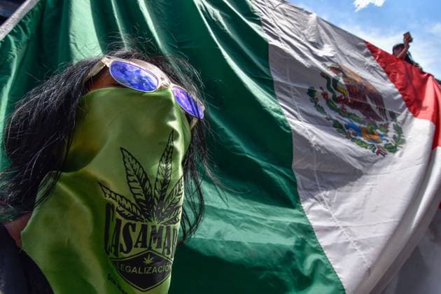 World Cannabis Day in State of Mexico April 20 , 2023 Toluca , Mexico : Thousands of young people and adults took to the streets of the city where they participated in the 5th cannabis walk in commemoration of World Cannabis Day, demanding its legalization as a plant for recreational purposes. on April 20, 2023 in Toluca, MÃ xico. (Photo by Arturo Hernandez Eyepix Group) Copyright: xArturoxHernandezx xEyepixxGroupx AH_200423_08
