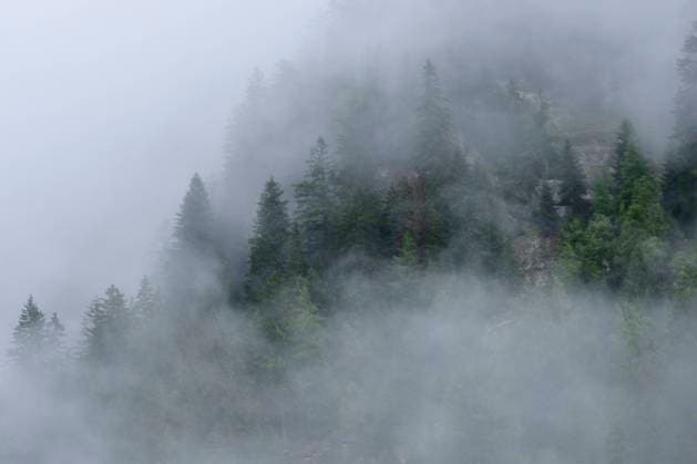 Morgennebel Near Molltaler waterfall in austria in autumn . The Moll Valley Glacier is located near Flattach. Copyright: xZoonar.com KarinxJähnex 15882519