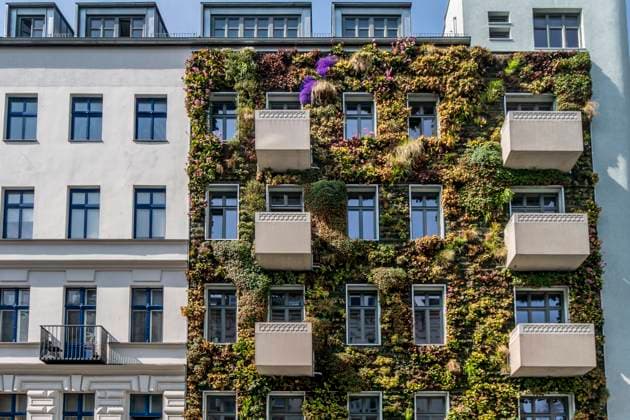 Begrünte Fassade in der Pannierstrasse in Berlin-Neukölln, , Fassadenbegrünung, Fassadenbepflanzung, Klimaschutz Begrünte Fassade in der Pannierstrasse in Berlin-Neukölln, , Fassadenbegrünung, Fassadenbepflanzung, Klimaschutz