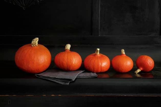 Studio shot of pumpkins ordered from biggest to smallest, EVGF04335