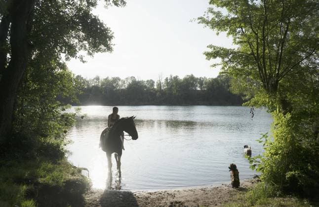 IMAGO Creative, Kinder auf dem Reiterhof Girl on horseback with dogs wading in idyllic summer lake, Dolgen am See, Mecklenburg, Germany  Copyright: JuliaxChriste fStopImages2021007 ,model released, Symbolfoto