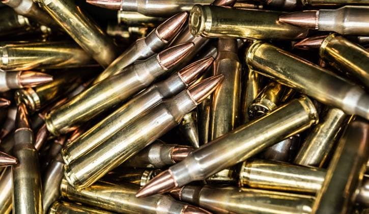 Patronen im Kaliber .223 Remington liegen in einer Munitionskiste eines Sportschützen. Rottweil Baden-Württemberg Deutschland *** 223 caliber Remington cartridges lie in an ammunition box of a sports shooter Rottweil Baden Württemberg Germany