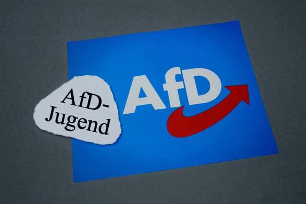 AfD-Jugend und AfD-Fahne AfD-Jugend und AfD-Fahne, 28.04.2023, Borkwalde, Brandenburg, Auf einer Fahne der AfD liegt der Schriftzug AfD-Jugend. *** AfD youth and AfD flag AfD youth and AfD flag, 28 04 2023, Borkwalde, Brandenburg, On a flag of the AfD lies the writing AfD youth