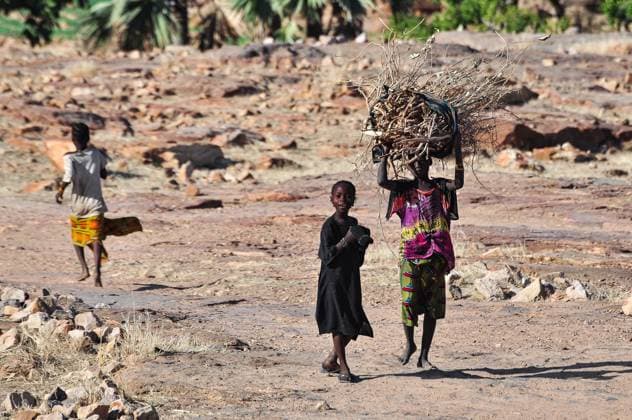 Children from the village of Tenne, Ouroli district, not far from Sangha on the Bandiagara cliff plateau in the Dogon Country, bring in wood for cooking, 28 November 2009.  NicolasxRemenex xLexPictorium LePictorium_0279932