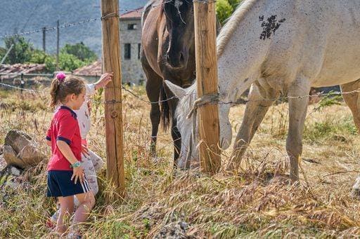 IMAGO Creative, Kinder auf dem Reiterhof RECORD DATE NOT STATED A little girl approaching the horses grazing in the pasture *** einer Wenig Mädel nahenden der Pferde grasend ÊIn der Weidegang 314427 ,model released, Symbolfoto