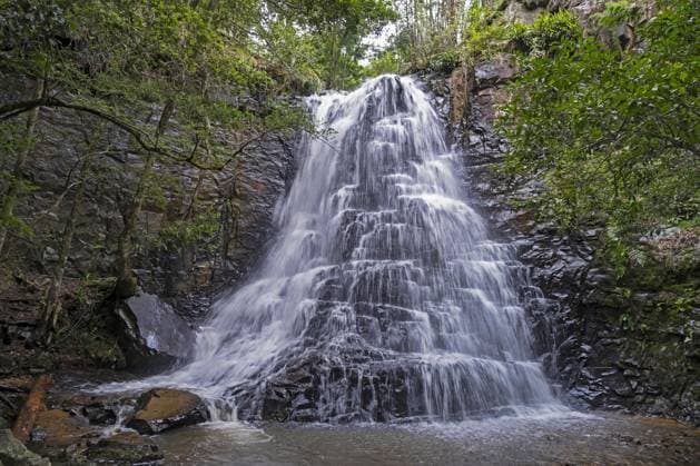 Creative Highlights World 39 Steps Falls, Wasserfall in Hogsback, Dorf in den Amathole Mountains in der Provinz Ostkap, Südafrika *** 39 Steps If, Waterfall in Hogsback, Village in the Amathole Mountains in the Province Eastern Cape, South Africa Copyright: imageBROKER/alimdix/xArterra ibltsm09216349.jpg