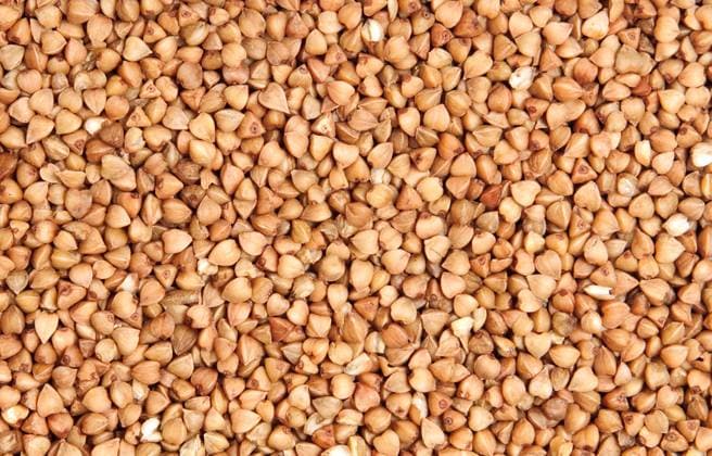 buckwheat Copyright: xMaximxLoskutnikovx xDesignxPicsx , 30557852 Copyright: MaximxLoskutnikovx xDesignxPics 30557852