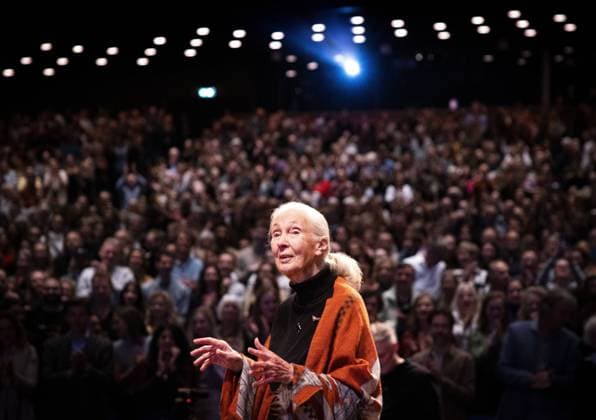 IMAGO ICONS: Jane Goodall Bilder des Jahres 2023, Entertainment 04 April Entertainment Themen der Woche KW17 Entertainment Bilder des Tages THE HAGUE - Jane Goodall during a lecture at the World Forum. Jane Goodall gained worldwide fame for her research on chimpanzees. ANP RAMON VAN FLYMEN netherlands out - belgium out  Copyright: xx x468122175x originalFilename: 468122175.jpg