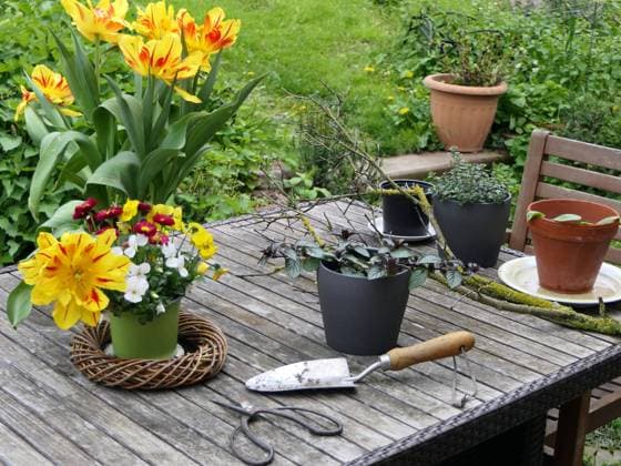 Gartentischdeko im Frühling *** Garden table decoration at Spring 1088814902