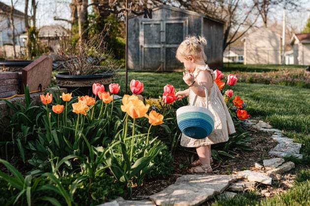Child in garden on Easter egg hunt Jackson, Missouri, United States CR_WEKW230306-1147046-01 ,model released, Symbolfoto
