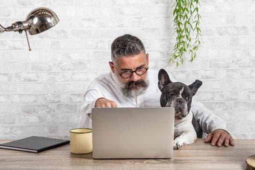 IMAGO Creative, Health, Hunde im Büro reduzieren Stress RECORD DATE NOT STATED A bearded man working from home with his dog sitting in the office *** einer baertig Mann arbeitende von Heimat mit seinem Hund sitzend ÊIn der Büro 3416418 ,model released, Symbolfoto
