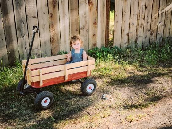 Creative Highlights Symbolbilder Toddler sits in a radio flyer wagon in Marin County, California. Lagunitas-Forest Knolls, California, United States CR_FYYH23021518-475169-01 ,model released, Symbolfoto