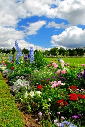 Blooming colorful flowerbeds in Versailles gardens, France. Copyright: xElenaxElisseevax xDesignxPicsx , 30743540 Copyright: ElenaxElisseevax xDesignxPics 30743540