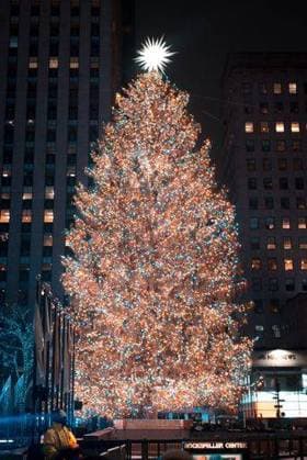RECORD DATE NOT STATED A vertical shot of the illuminated Christmas tree at Rockefeller Center, New York *** einer hoch erschossen des der beleuchtet Weihnachten Baum im Rockefeller Center, Neuen York 3646736