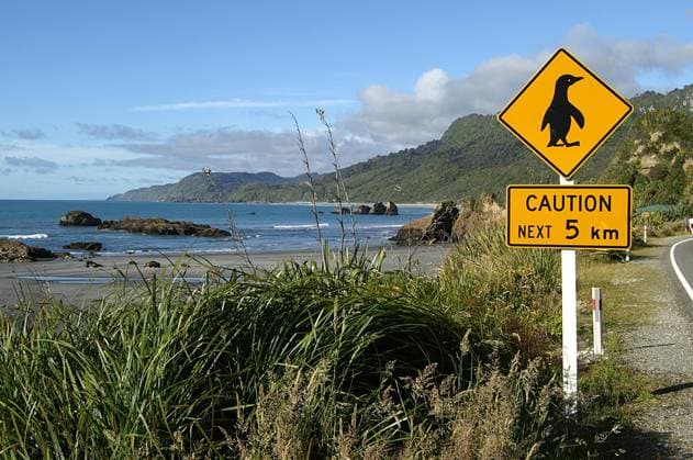 Penguins crossing sign in rural New Zealand, South Island Copyright: xRalfxBroskvarx xDesignxPicsx , 30770498 Copyright: RalfxBroskvarx xDesignxPics 30770498