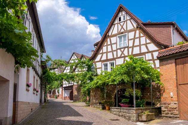 IMAGO Creative, Sommer, Weinfeste und Weinwanderungen Dorfstraße im Weinort Gleiszellen, Südpfalz, Pfalz, Rheinland-Pfalz, Deutschland, Europa *** Village road at Wine village Gleiszellen, Southern Palatinate, Palatinate, Rhineland Palatinate, Germany, Europe Copyright: imageBROKER/AnnaReinert ibxann08749914.jpg