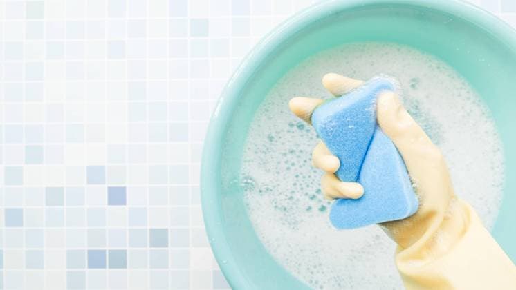  Schwamm in der Hand *** Sponge in the Hand Copyright: imageBROKER/OleksandrxLatkun ibxole08510087.jpg