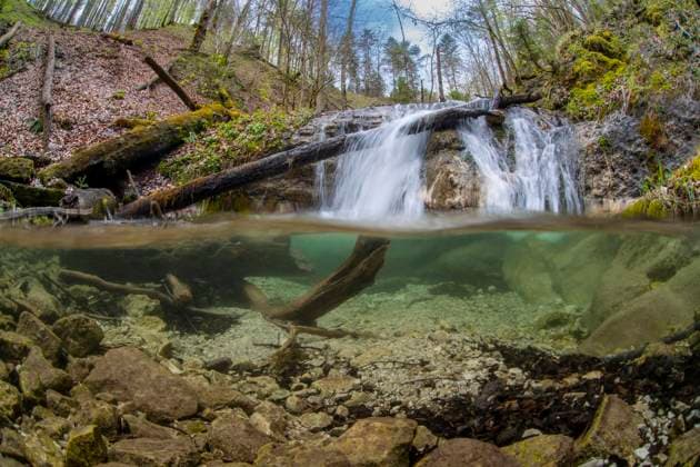 Creative Highlights World Waldbach mit Wasserfall im UNESCO Weltnaturerbe Buchenwald im Nationalpark Kalkalpen, Reichraming, Oberösterreich, Österreich, Europa *** Waldbach with Waterfall at Unesco World Natural Heritage Buchenwald at National Park Limestone Alps, Reichraming, Upper Austria, Austria, Europe Copyright: imageBROKER/ThomasxAichinger iblaic09239570.jpg