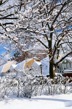 IMAGO Creative, Jahreszeit Winter in der Stadt Winter street with lots of snow and colorful houses in Toronto Copyright: xElenaxElisseevax xDesignxPicsx , 30829218 Copyright: ElenaxElisseevax xDesignxPics 30829218