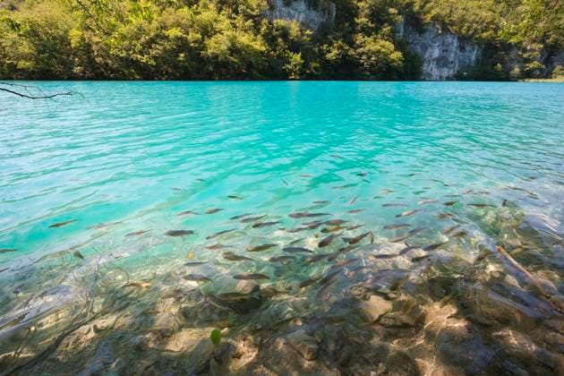plitvicka jezera national park - the most beautiful part of Croatia Copyright: xMichalxAdamczykx xDesignxPicsx , 30843204 Copyright: AlexeyxRomanovx xDesignxPics 30843204