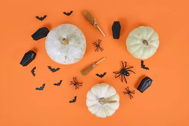 Halloween-Arrangement mit weißen Kürbissen, schwarzen Spinnen, Fledermäusen und Särgen und Hexenbesen auf orangem Hintergrund *** Halloween Arrangement with white Pumpkins, Black people Spiders, Bats and Coffins and witches broom at orangem Background Copyright: imageBROKER Firn ibxmob08714913.jpg