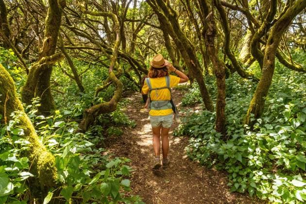 Ein junges Mädchen spaziert in El Brezal, dem feuchten Waldpark von La Llania auf El Hierro, Kanarische Inseln